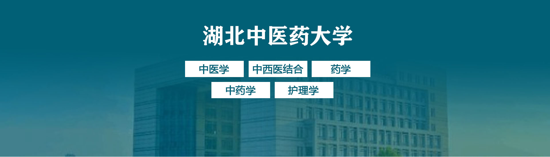 湖北中医药大学